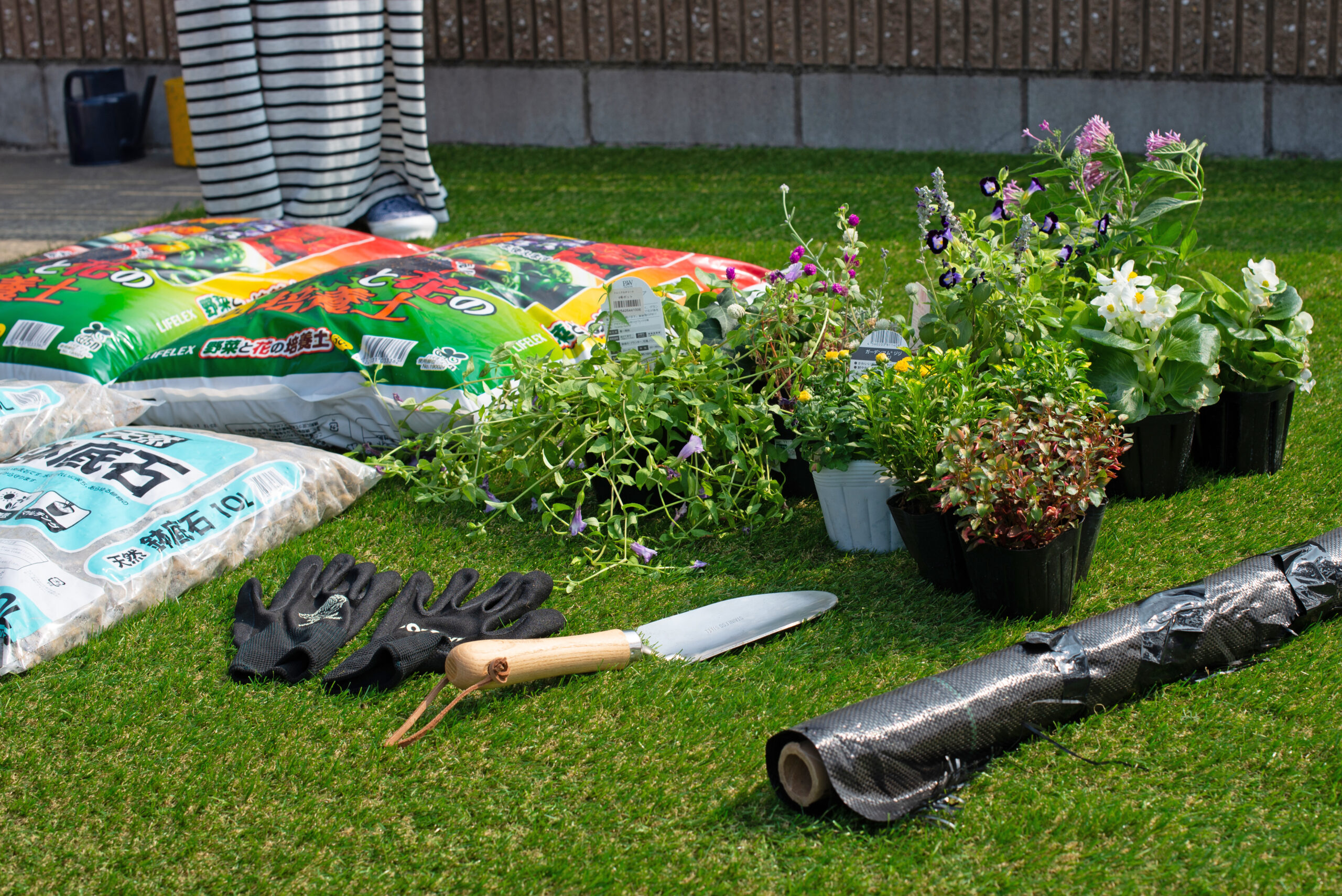 レイズドベッド、スタイリッシュ、ガーデニング、家庭菜園