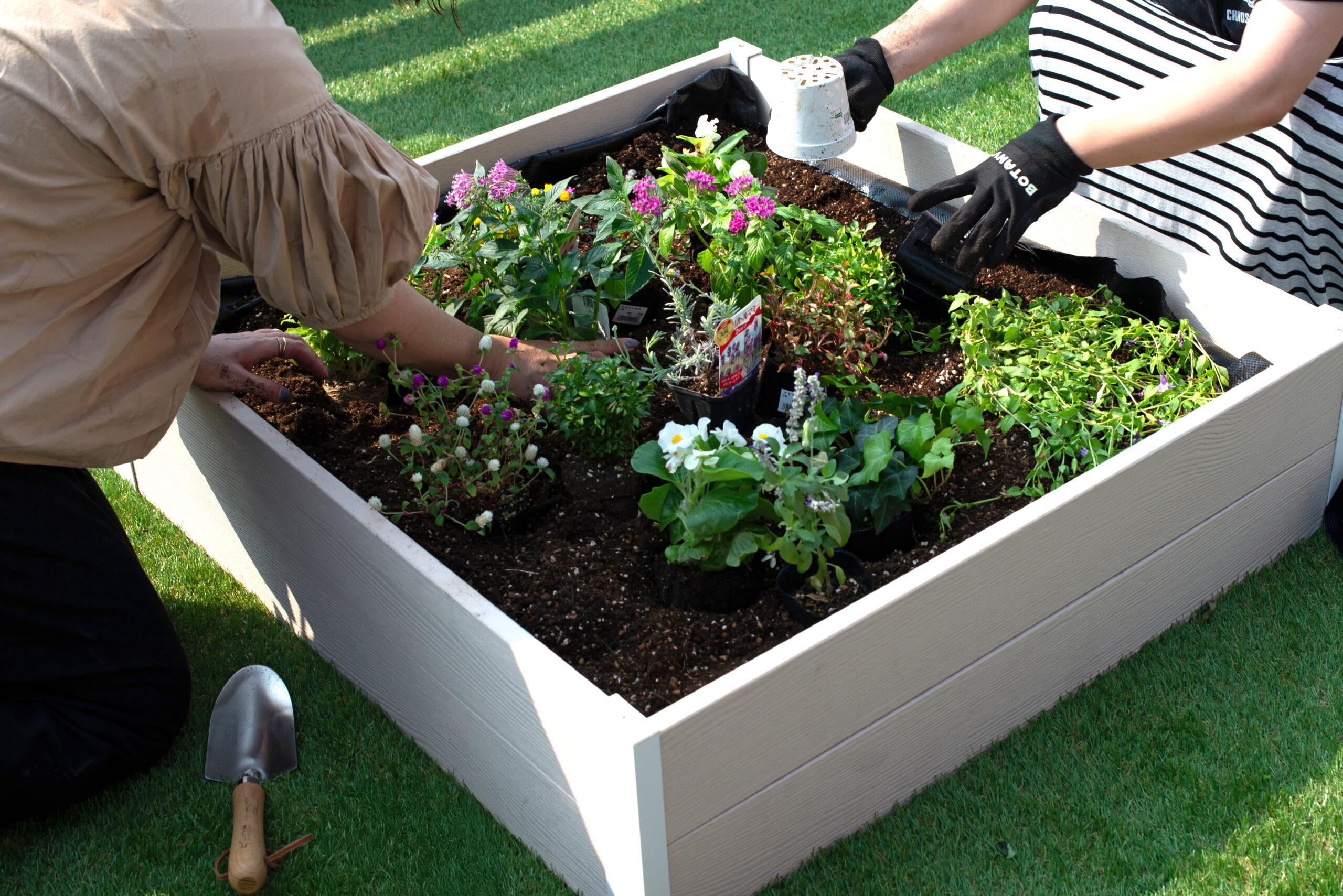 レイズドベッド