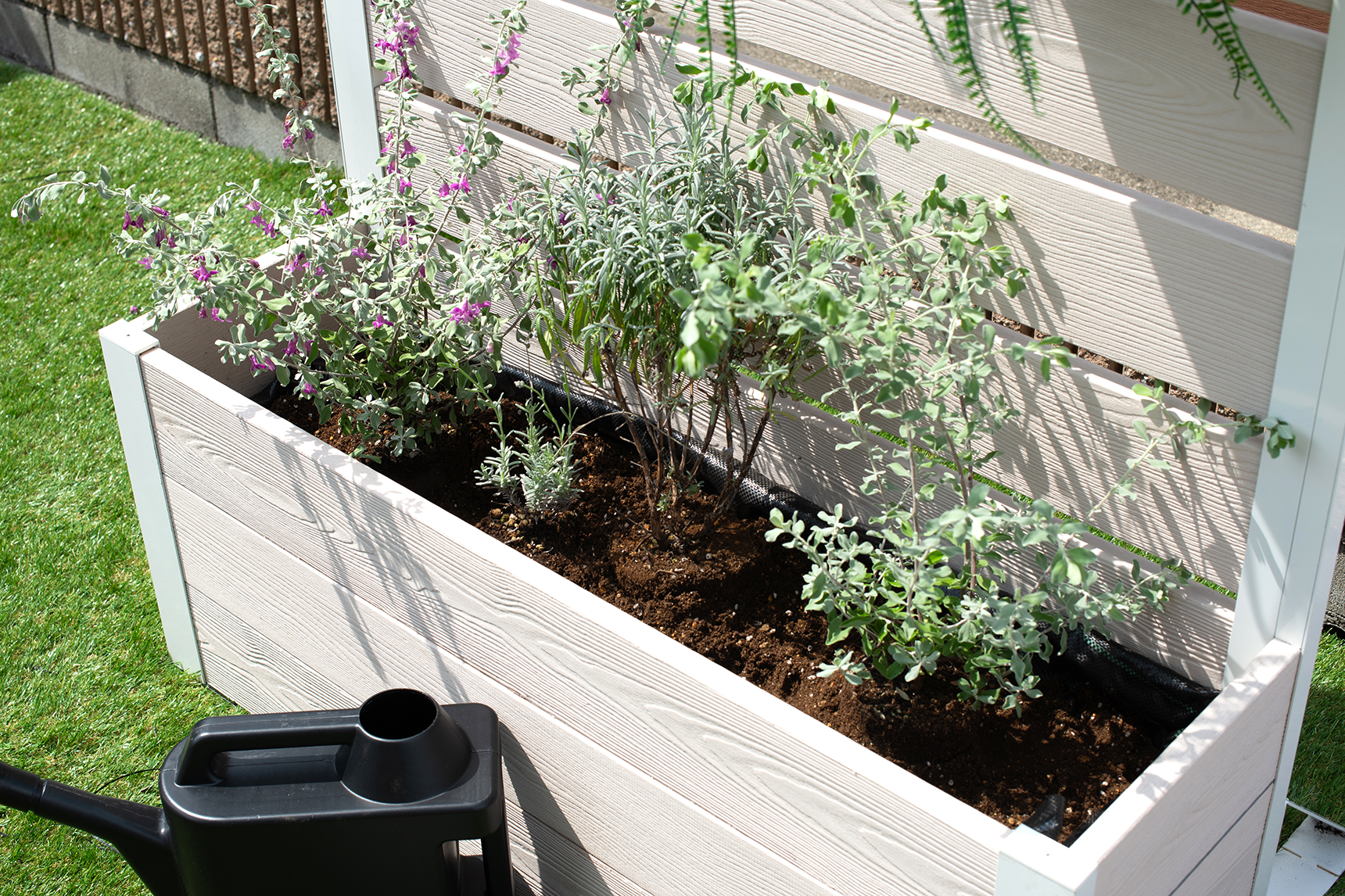 プランター,フェンス,ガーデニング,家庭菜園,屋上