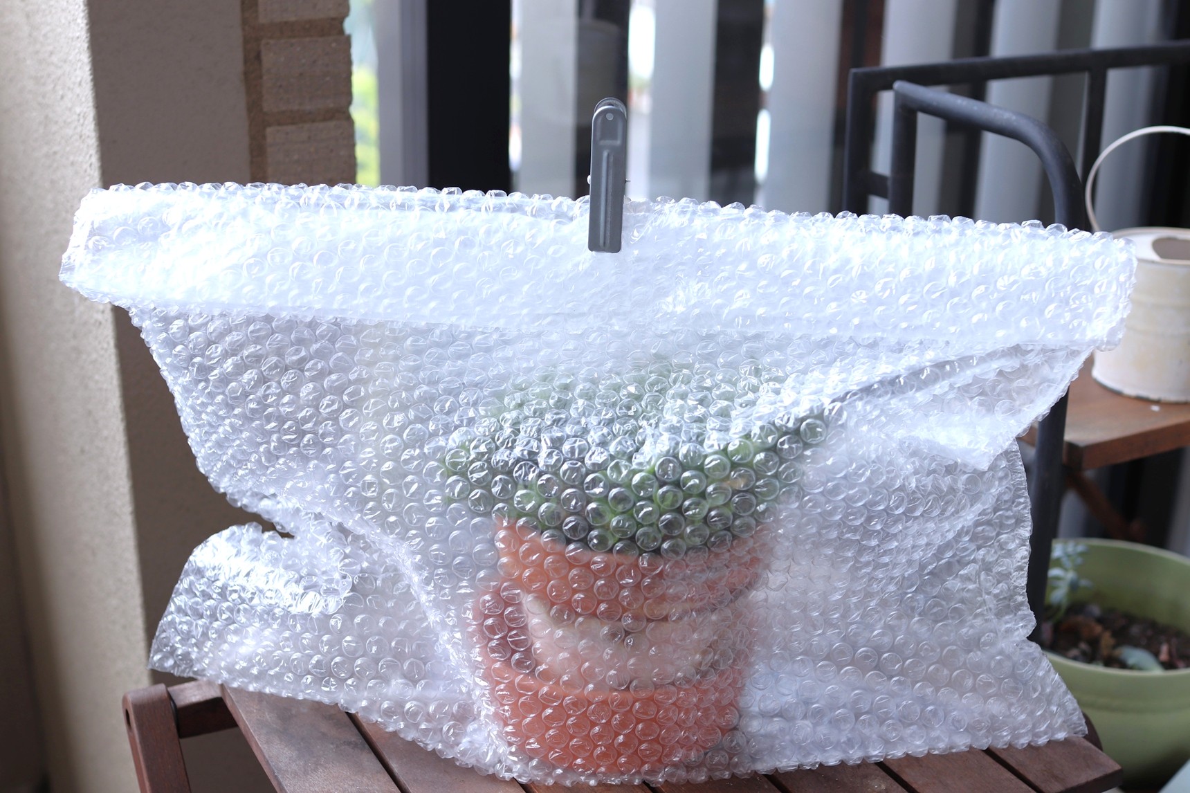 プチプチで植木鉢を保温する